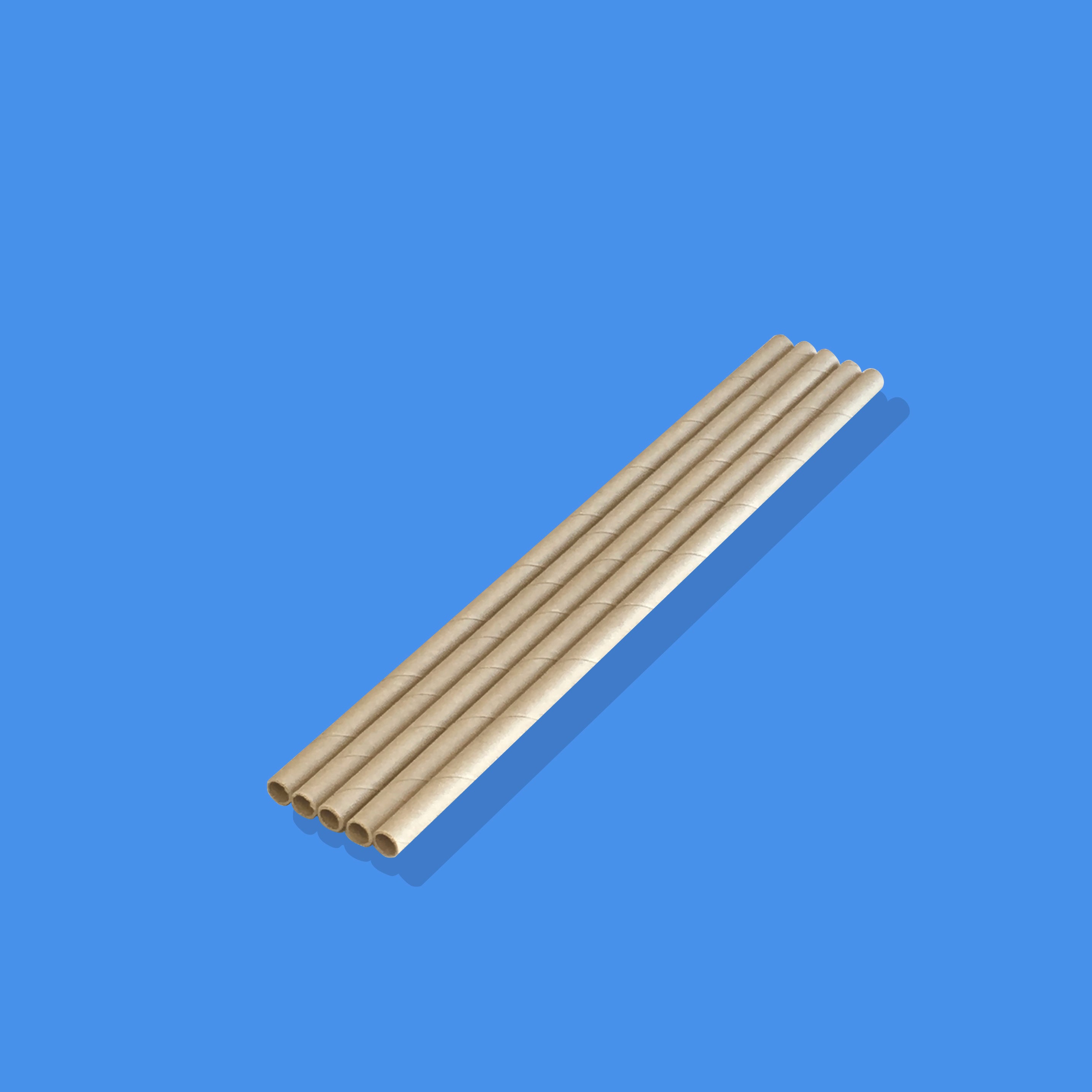 Bamboo Paper Straw